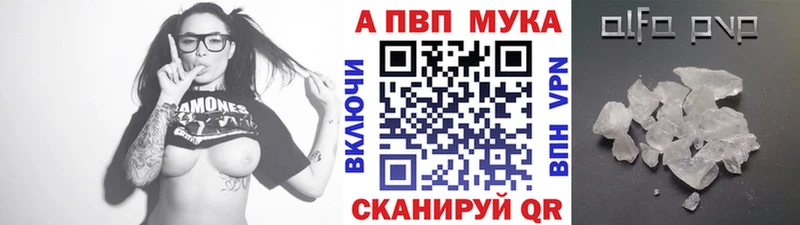 А ПВП СК Шадринск