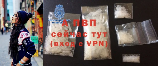прущие грибы Новодвинск