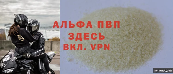 СК Алексин