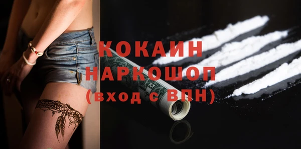 СК Алексин