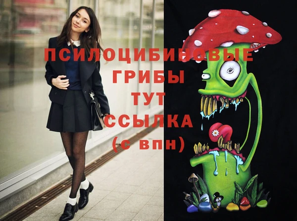 a pvp Алзамай