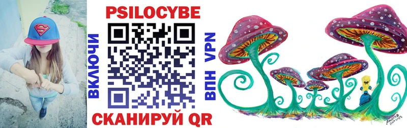 Псилоцибиновые грибы Cubensis  цены наркотик  Шадринск 
