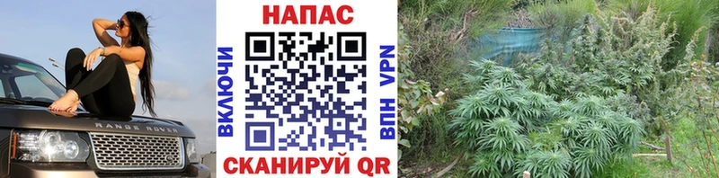 мега ТОР  Шадринск  Марихуана Bruce Banner  хочу  